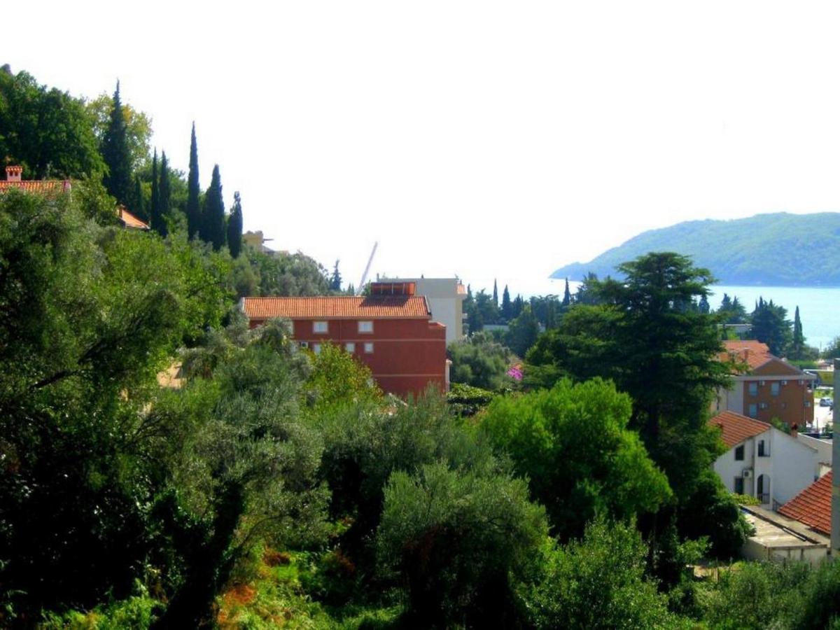 Villa Seka Budva Exterior photo